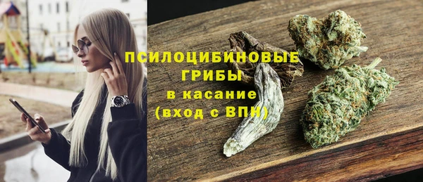 гидропоника Белокуриха