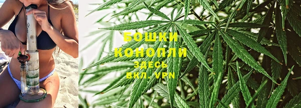 гидропоника Белокуриха