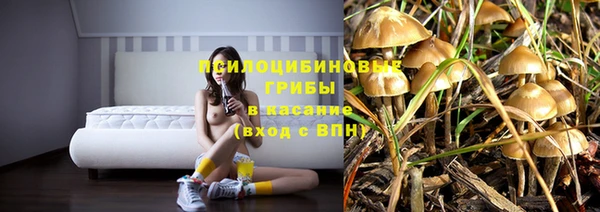 стафф Белоозёрский