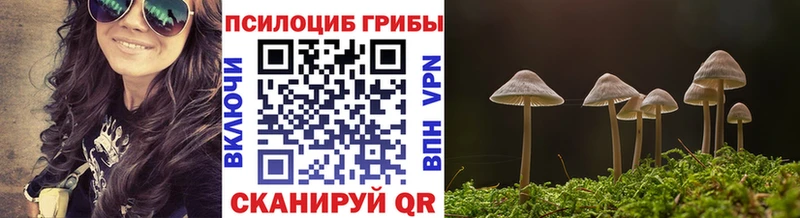 Псилоцибиновые грибы Magic Shrooms  Куровское 