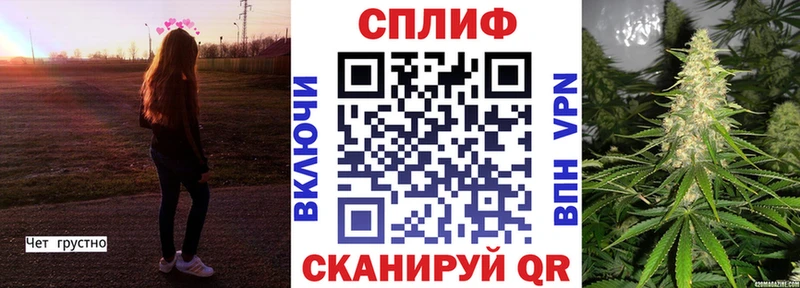 Конопля ГИДРОПОН  Куровское 